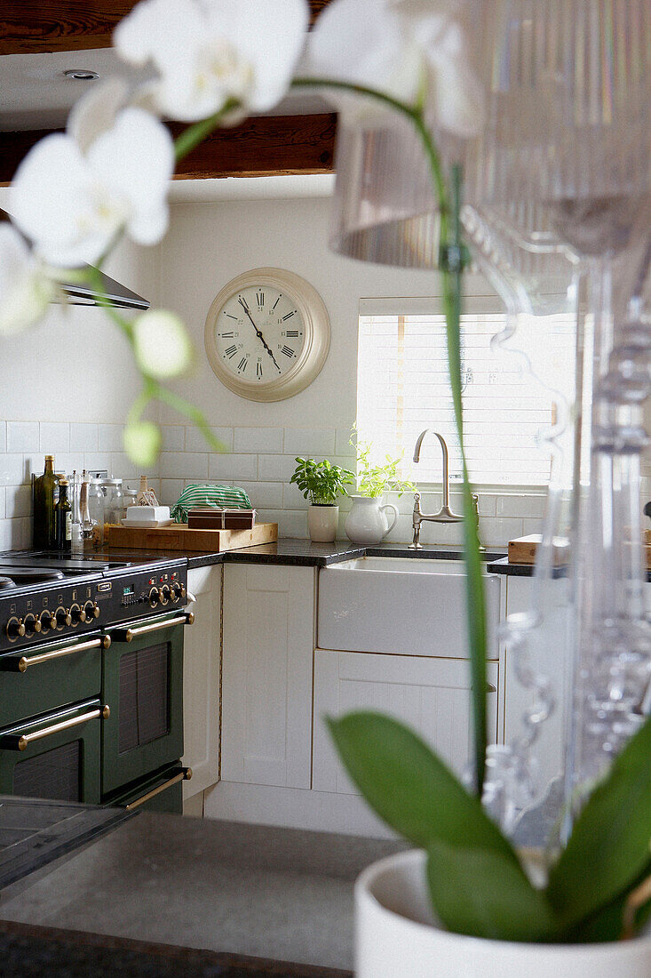 View of kitchen through orchid with wall clock and kitchen range