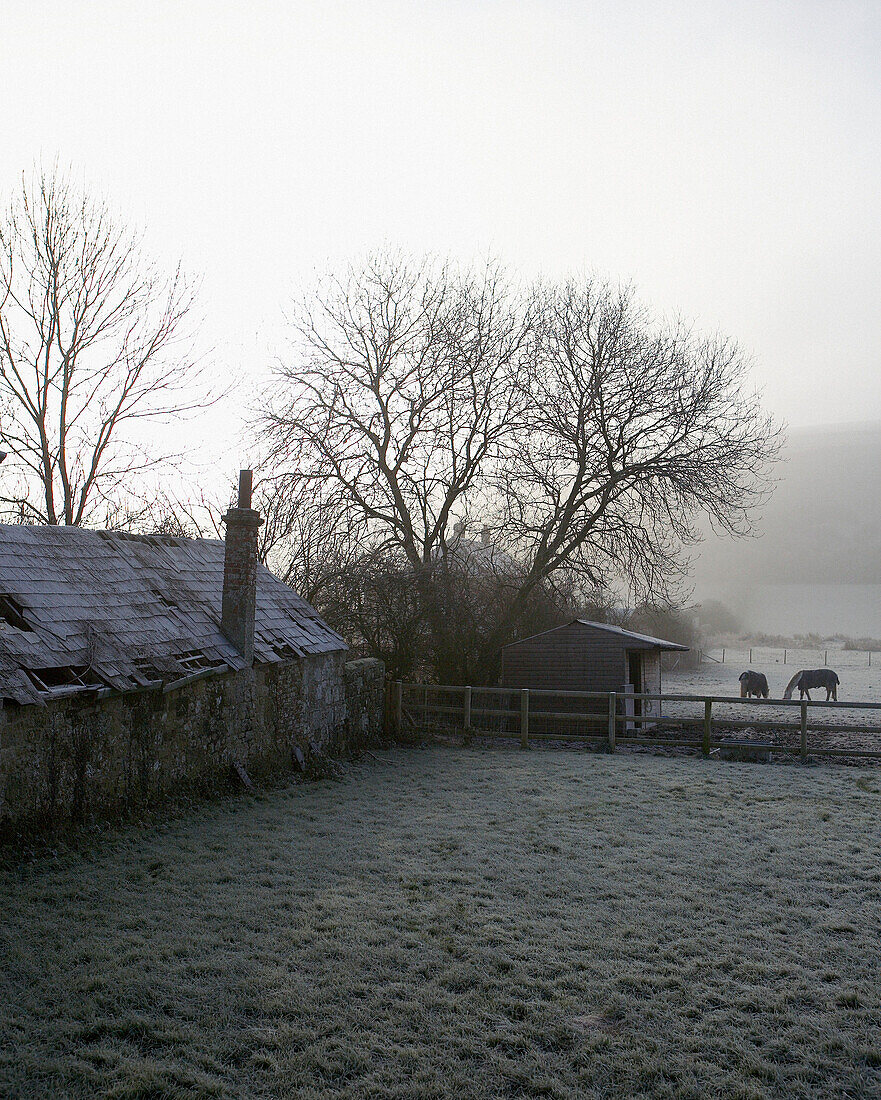 1840s Victorian outhouse roofing in disrepair and mist