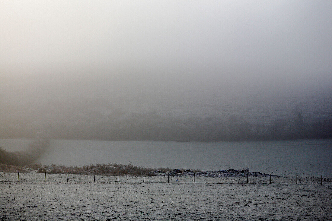 Morgenfrost in der Landschaft von Dorset