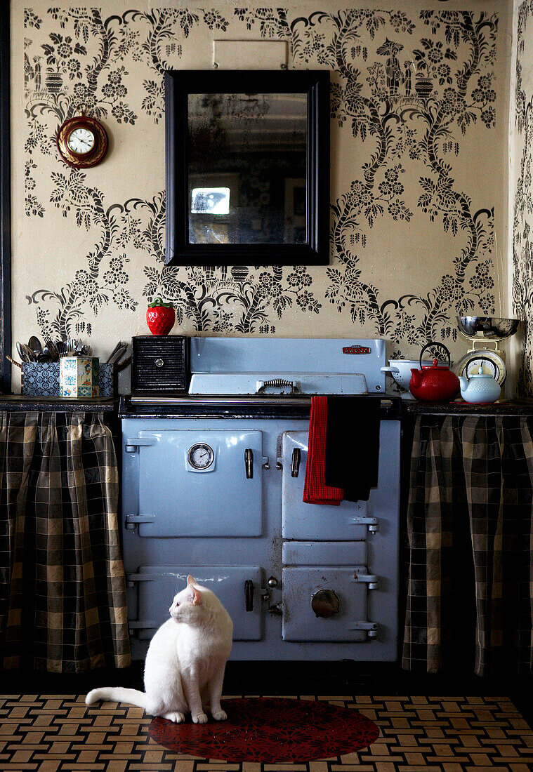 White cat sits in front of light blue oven in Georgian farmhouse