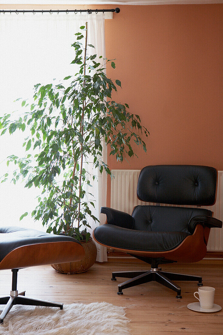 Black leather Charles Eames chair and footstool with houseplant at sunlit window