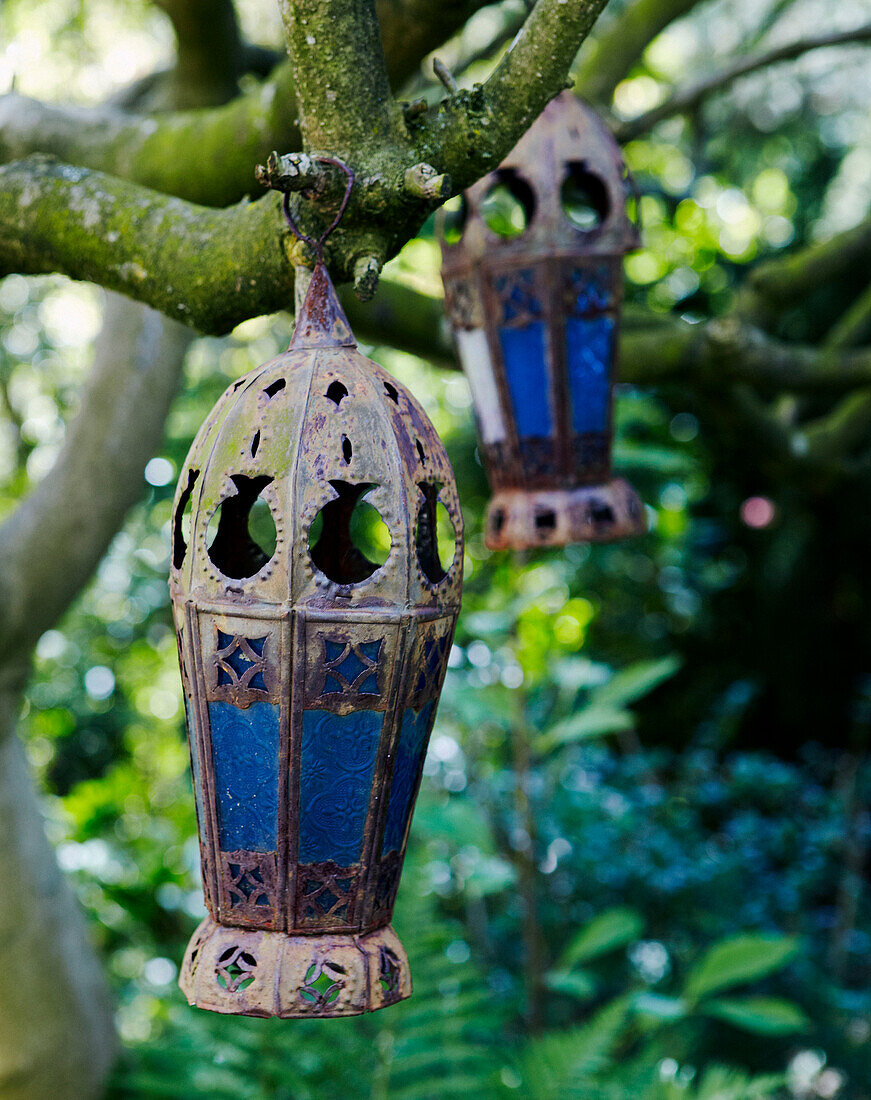 Two Moroccan lanterns hang in trees