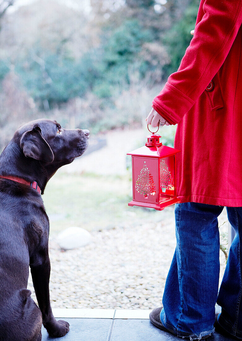 Woman in red coat and jeans with black Labrador holding a red shiny lantern with candles