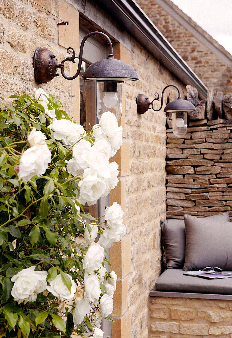 White climbing rose at backdoor of stone farmhouse exterior