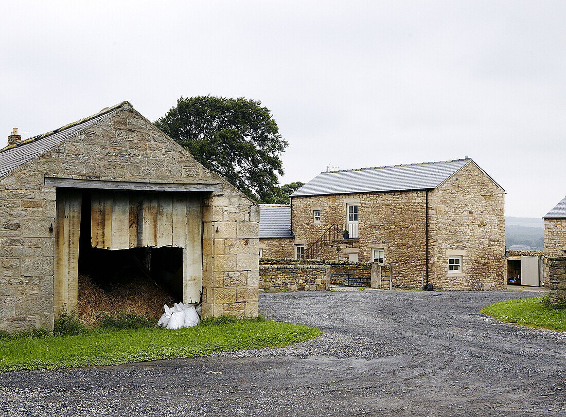 Old stone farmhouse with barn and gravel driveway in Durham England UK