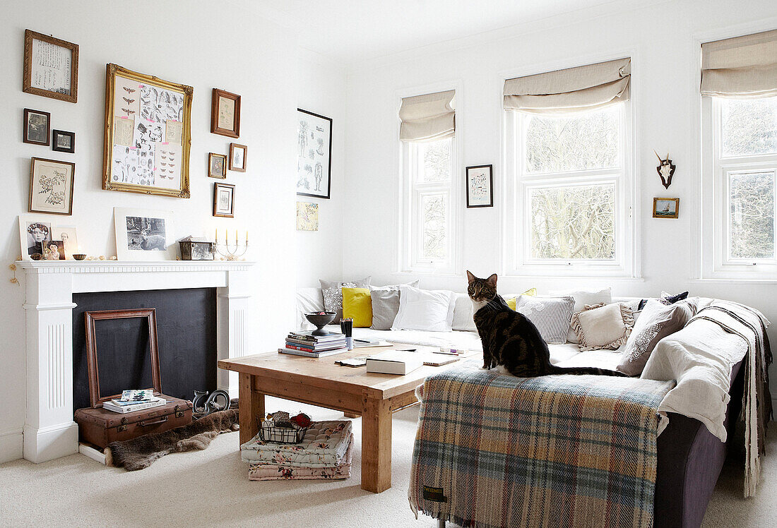 Tabby-Katze sitzt auf Sofa mit Schottenkaro im Wohnzimmer eines Hauses in Hastings, East Sussex, Großbritannien