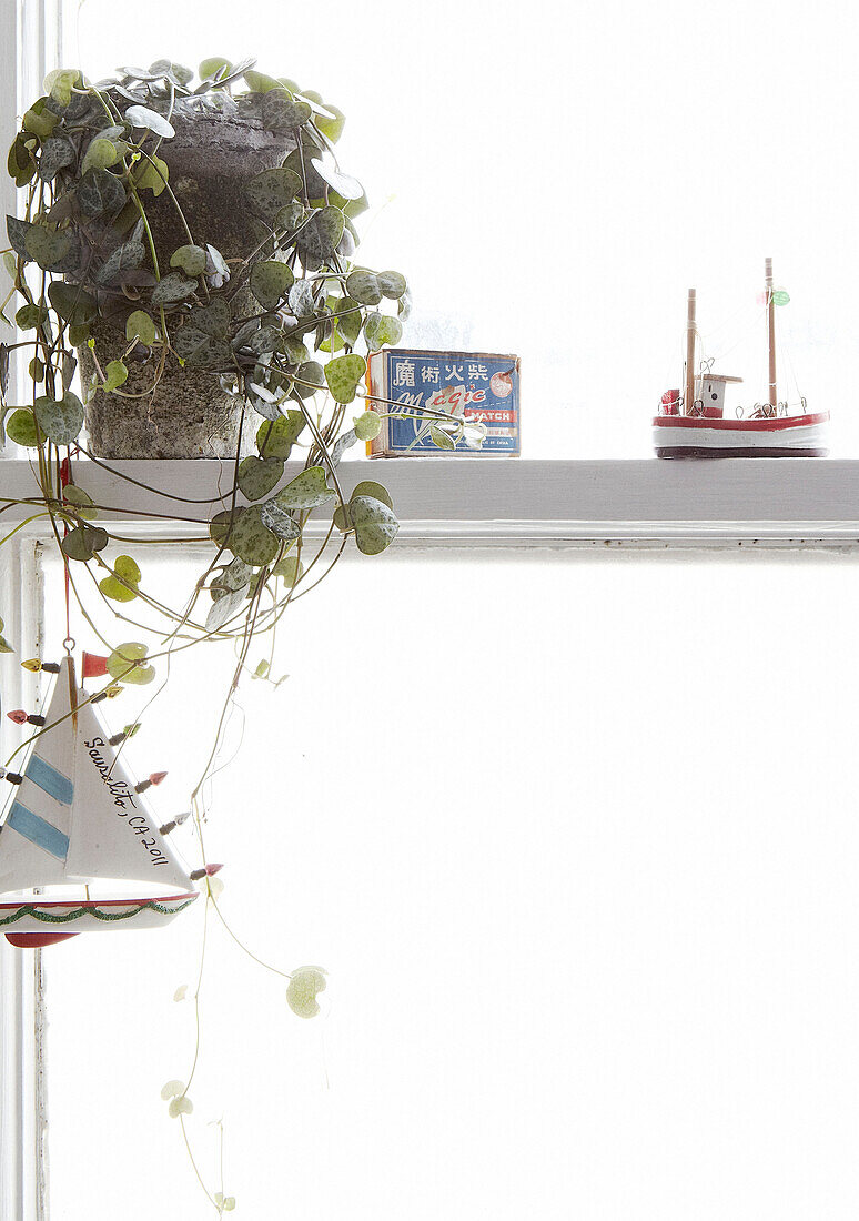 Toy boats and houseplant in bathroom window in contemporary home, Hastings, East Sussex, UK