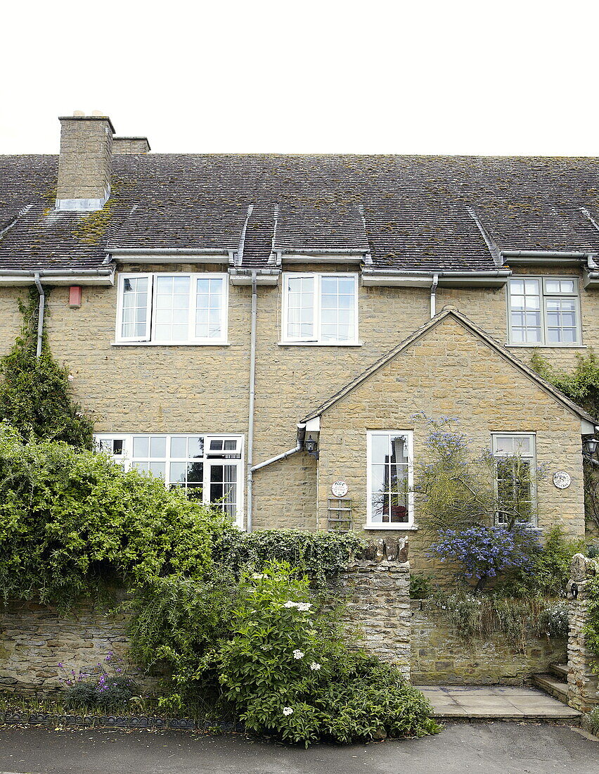 Climbing plants on stone wall of terraced houses, Oxfordshire, England, UK
