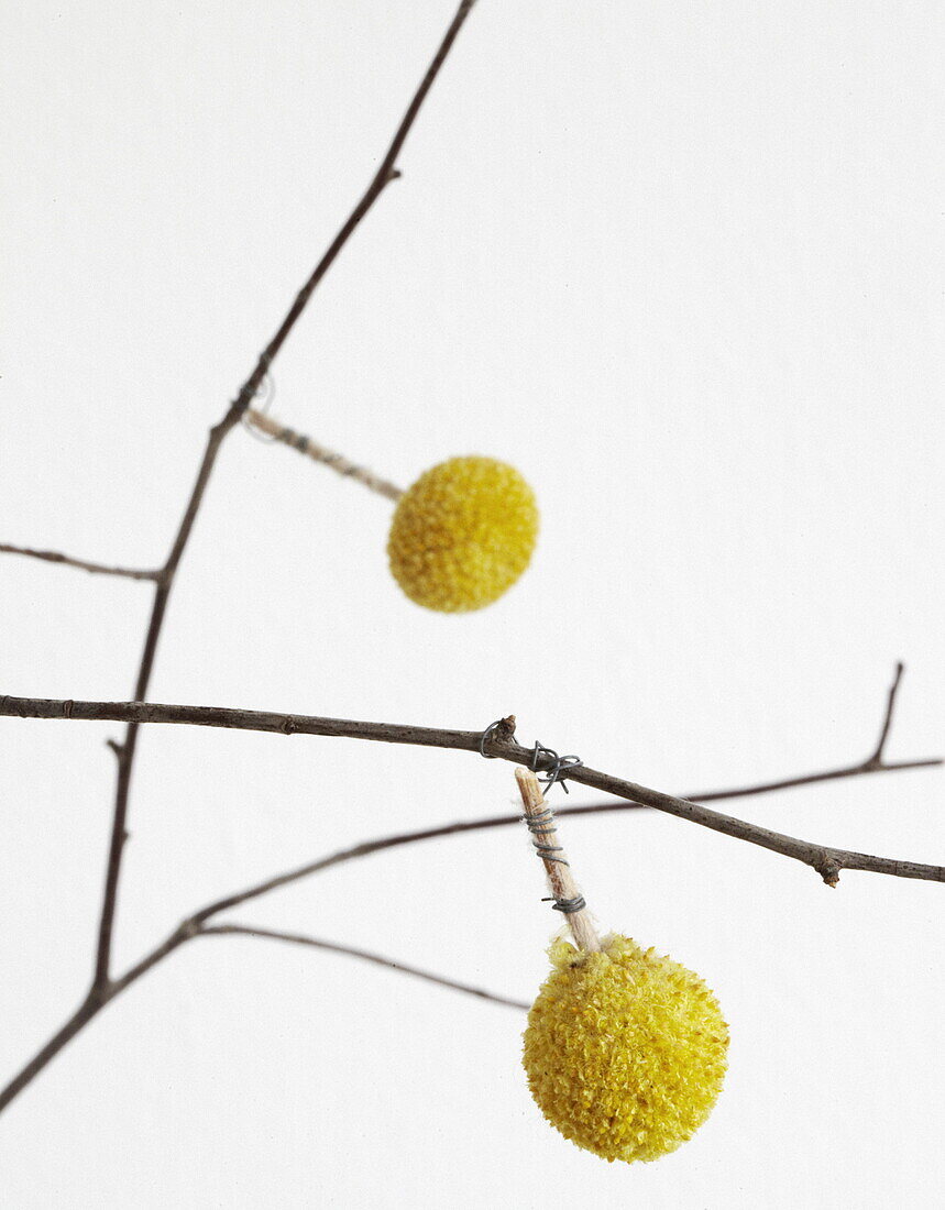 Yellow balls wired to twig arrangement in Bussum home, Netherlands