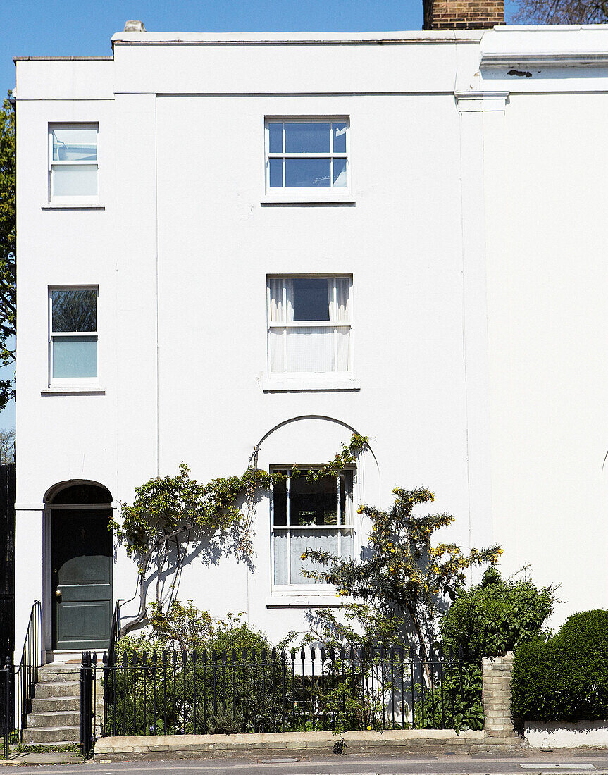 Weiß gestrichene vierstöckige Fassade eines Londoner Stadthauses England UK