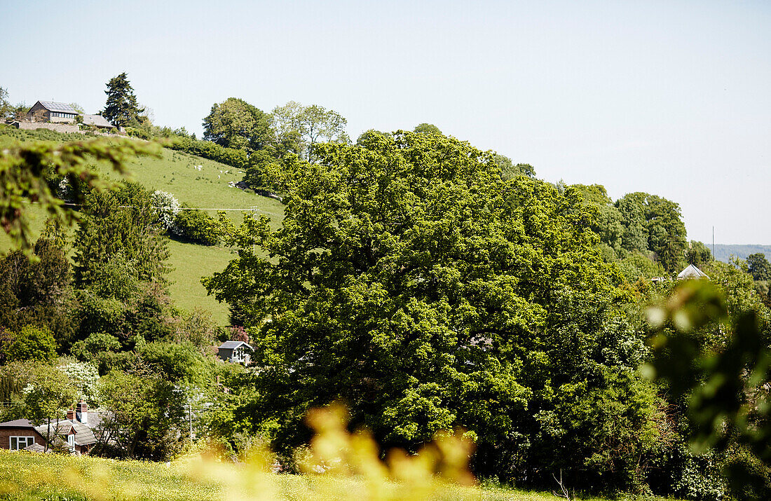 Hillside in rural Welsh borders valley UK
