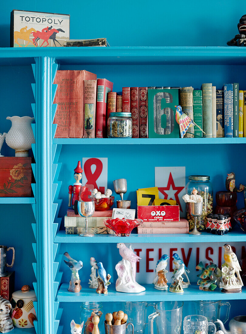 Bücher auf Papageienfiguren mit altem Spielzeug auf hellblauen Regalen in einem Haus in Auckland auf der Nordinsel Neuseelands