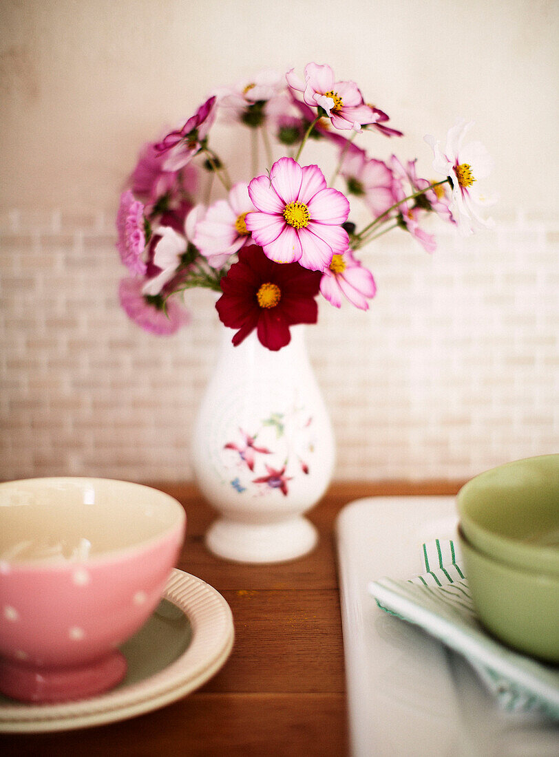 Kosmosblüten in einer Vase und Geschirr in einer Küche in der Bretagne Frankreich