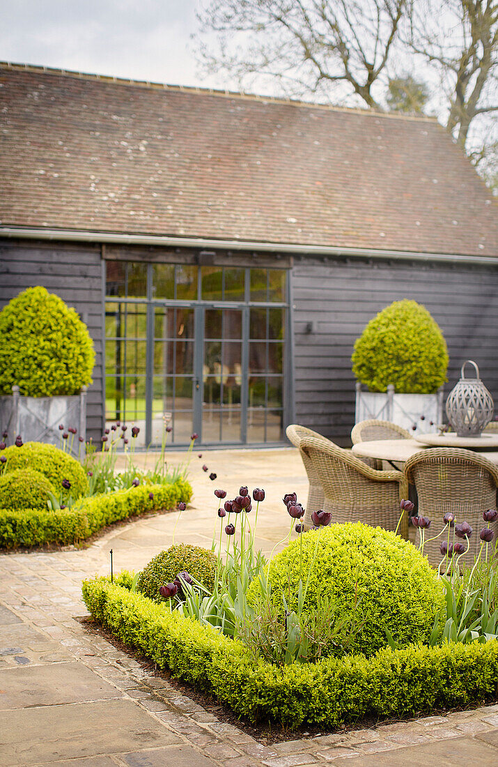 Topiary Buchsbaumhecke und Gartenmöbel auf der Terrasse eines Hauses in Buckinghamshire UK