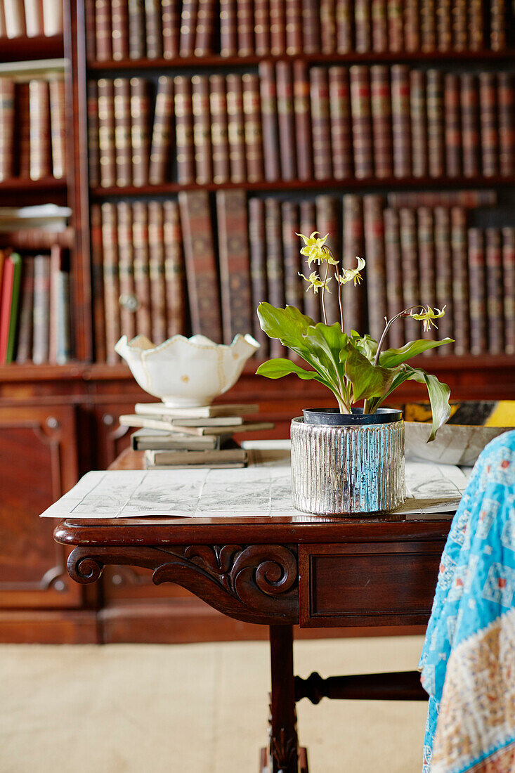 Gelbe Zimmerpflanze auf geschnitztem Holztisch in der Bibliothek von Capheaton Hall in Northumberland, UK