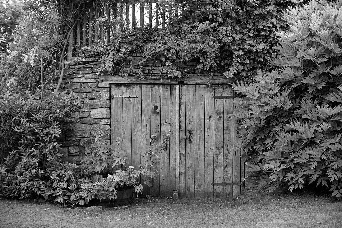 Wooden barn doors and plants in Herefordshire, UK