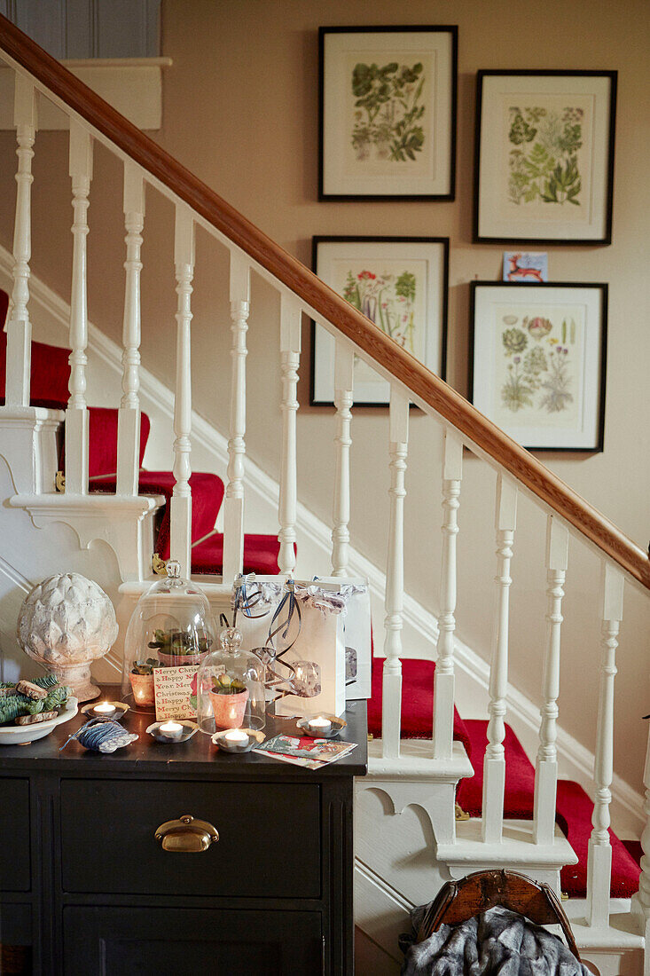 Roter Teppich im Treppenhaus mit gerahmten botanischen Drucken in einem Haus in Chippenham, Wiltshire, UK