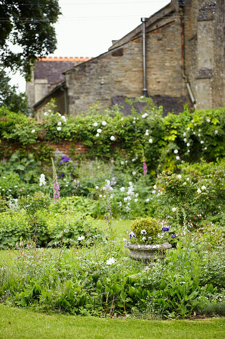 Blumenbeete und Rosen in einem Garten in Syresham, Northamptonshire, UK