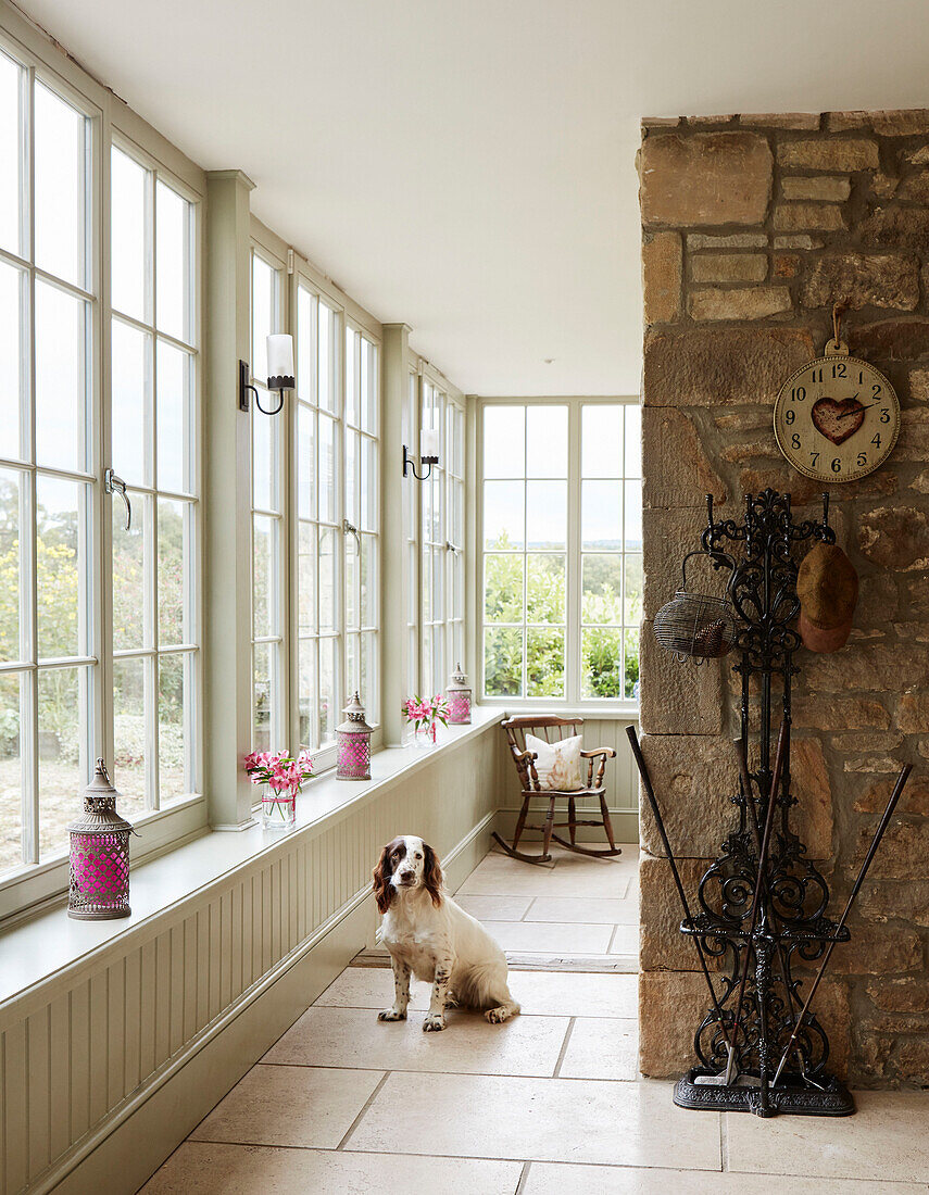 Hund in einem gefliesten Raum mit Fenstern ohne Vorhänge in einem Bauernhaus in Northumberland, UK