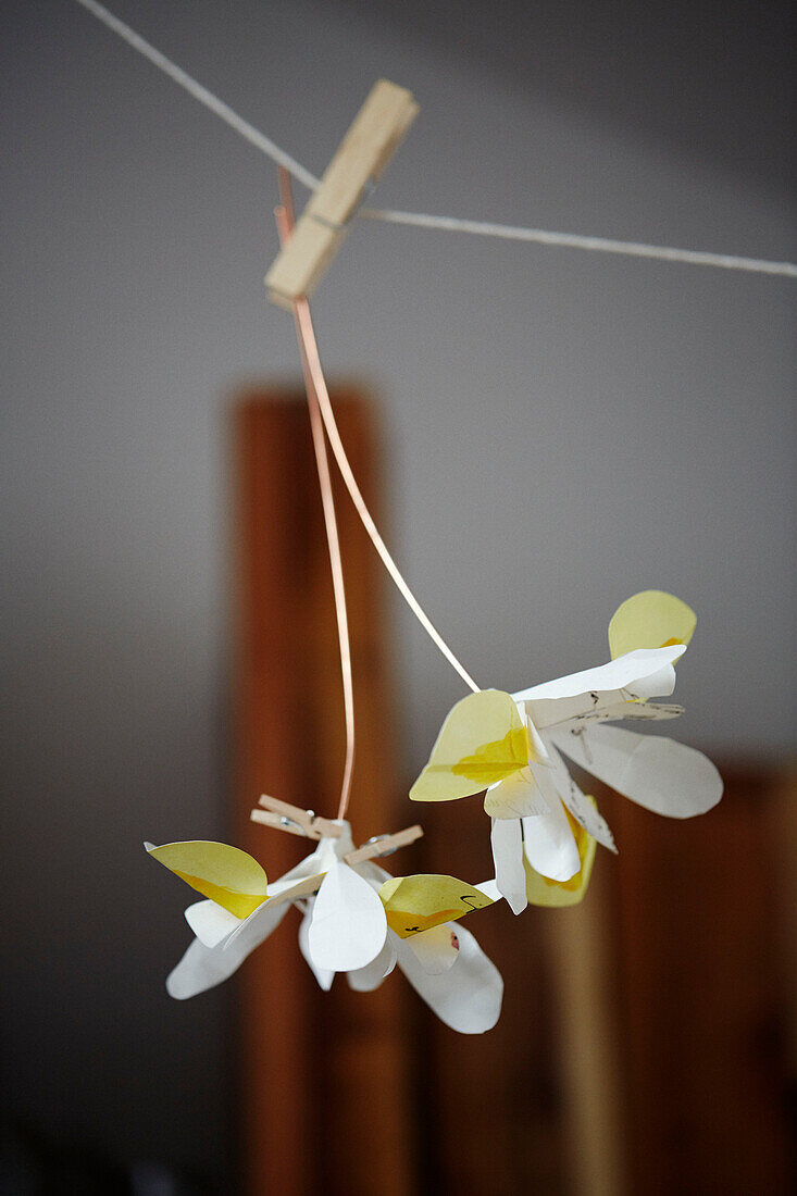 Two paper flowers hanging on peg with glue drying in Gladestry on South Wales borders