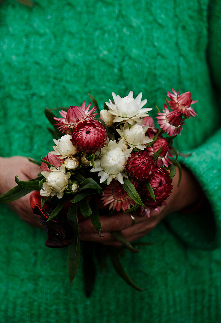 Woman holding cut flowers in Radnorshire-Herefordshire borders, UK