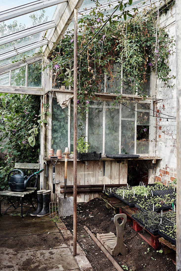 Saatschalen und Gartengeräte im Gewächshaus im Küchengarten von Old Lands in Monmouthshire, UK