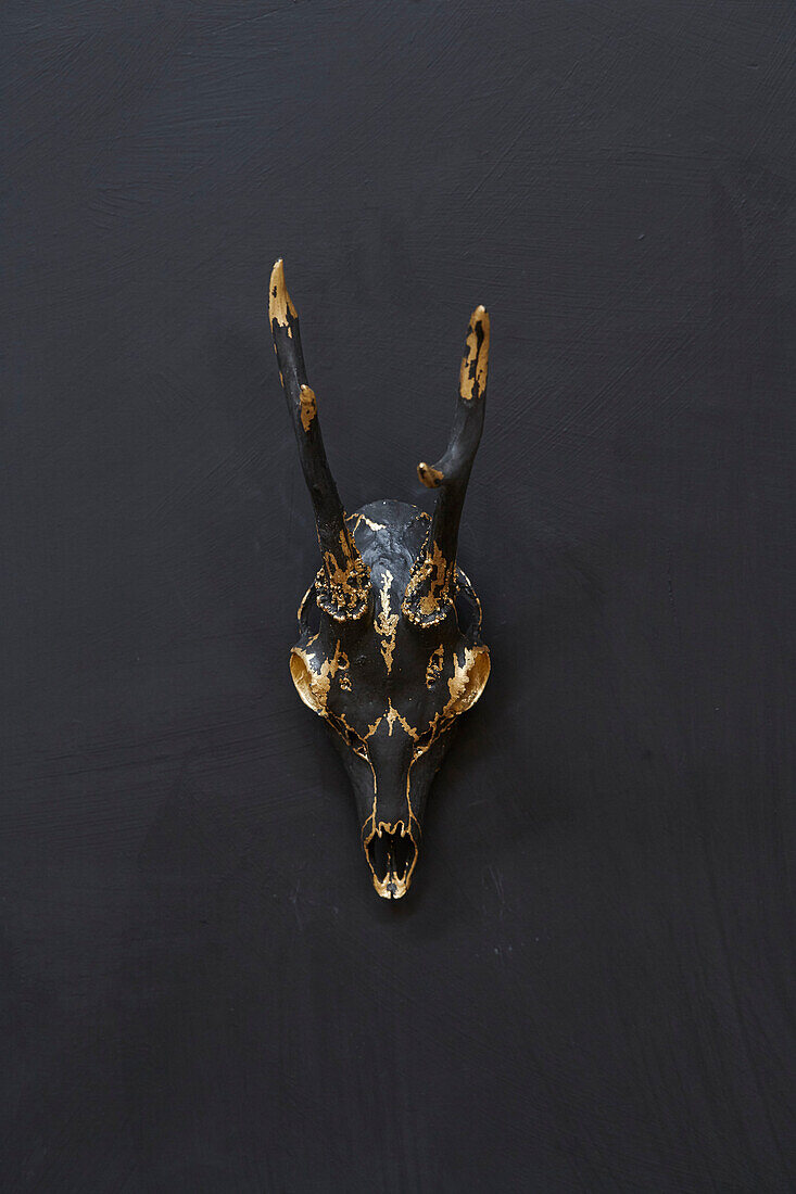 Gold und schwarz bemalter Totenkopf mit Hörnern Somerset, UK