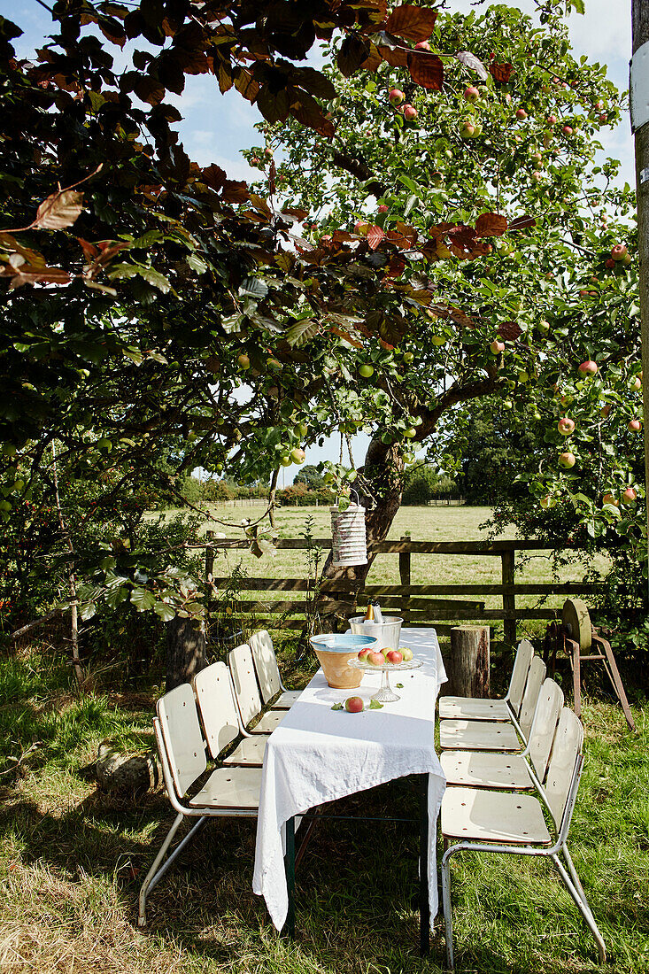 Table and chairs under apple tree in North Yorkshire, UK