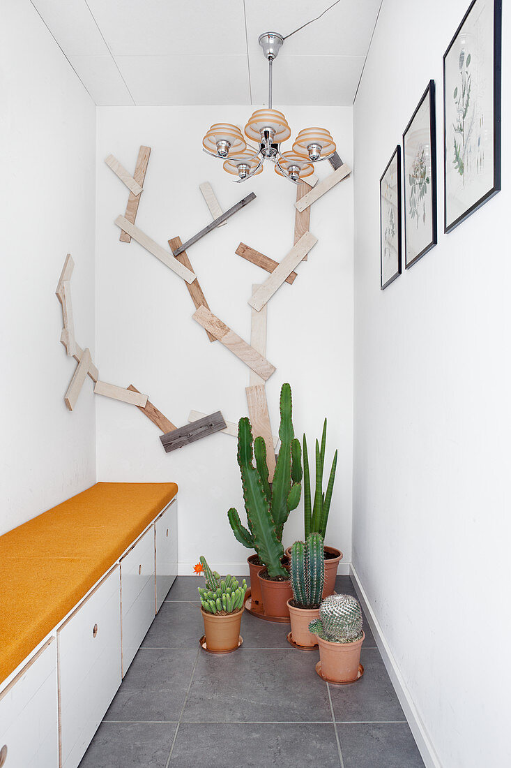 Cacti in hallway with storage bench and wall decoration made from reclaimed rug