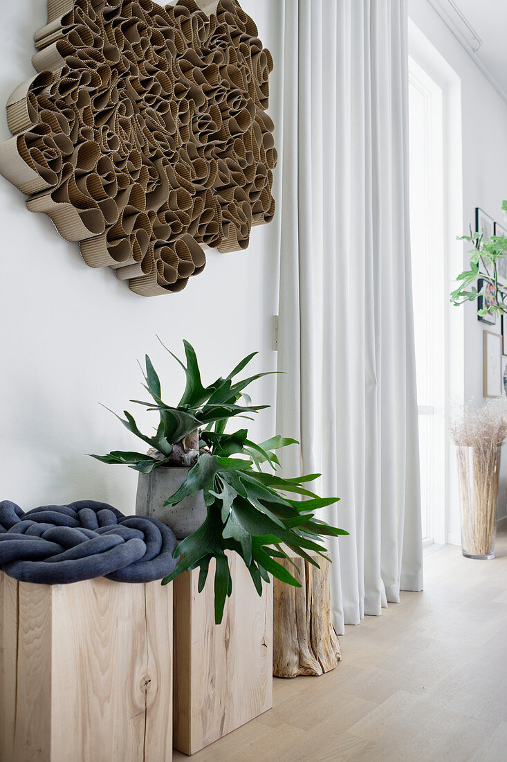 Staghorn fern on wooden blocks below cardboard artwork on wall