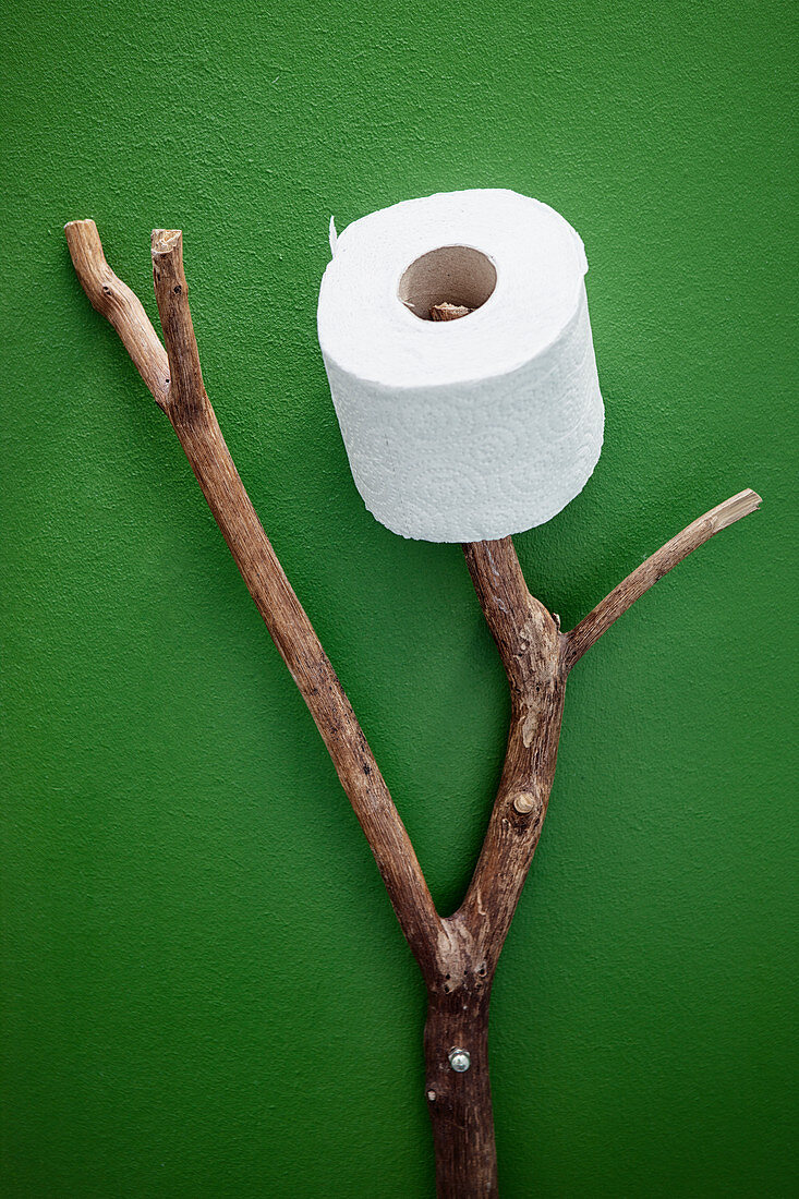 Branch used as toilet roll holder against green wall