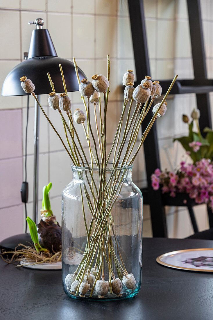 Poppy seed heads on stalks arranged in jar