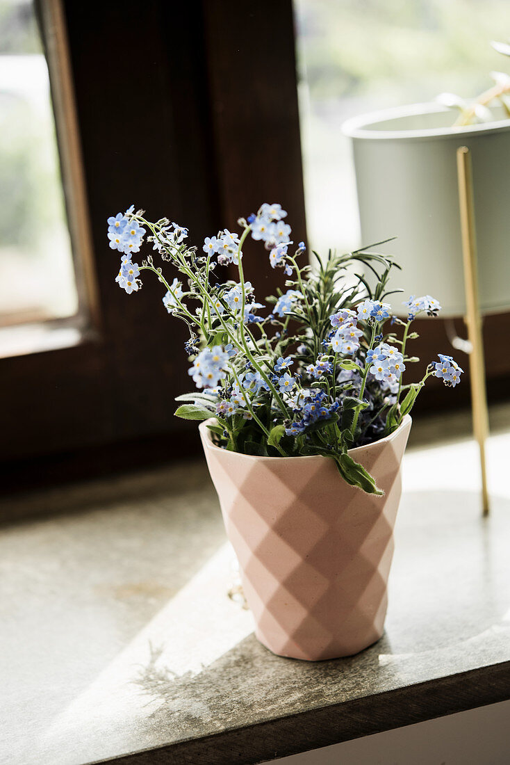 Posy of forget-me-nots in pink beaker