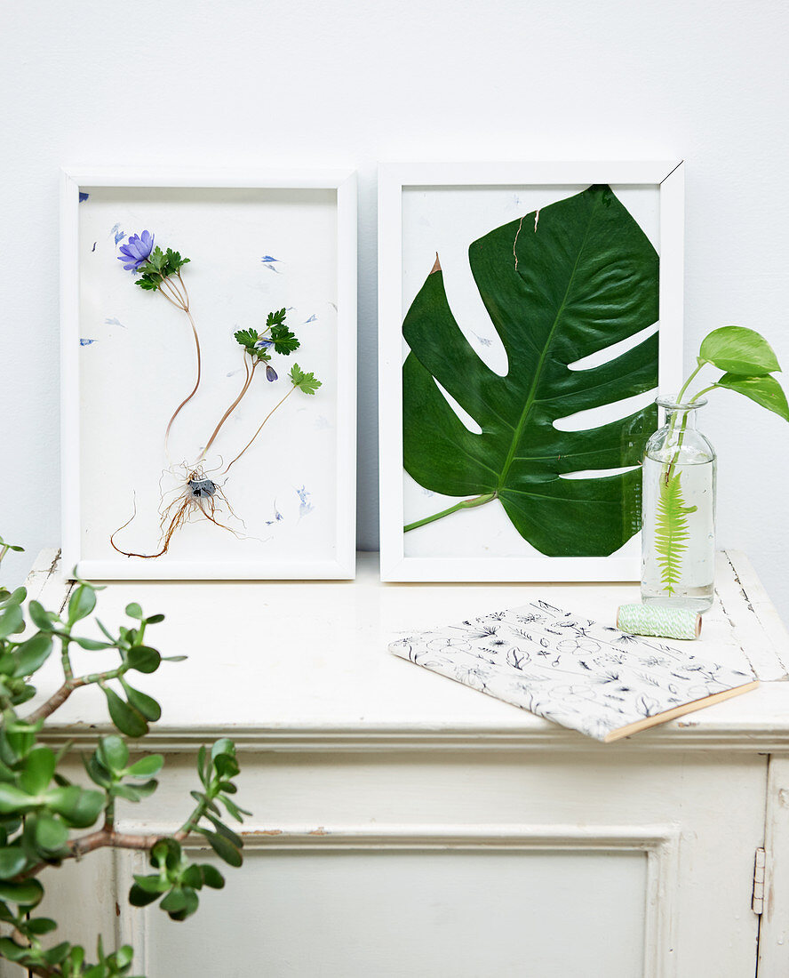 Framed arrangements of flowers and leaves