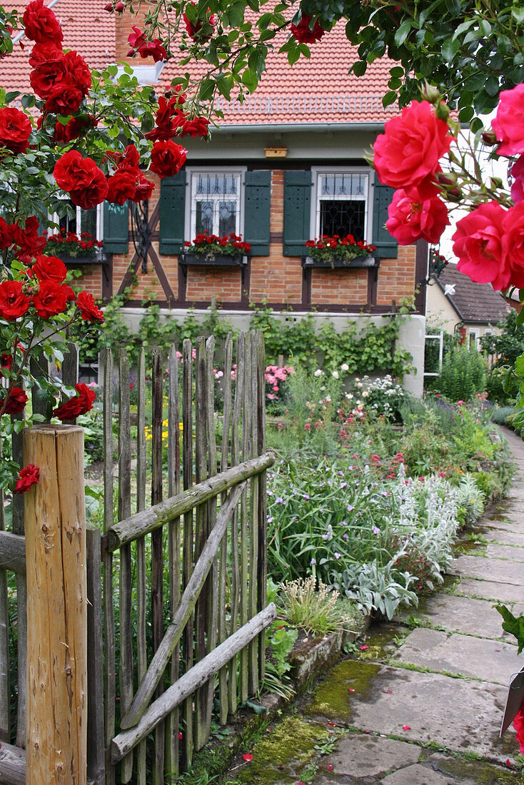 Rosen am offenen Gartentor und Blick auf Bauernhaus und Bauerngarten