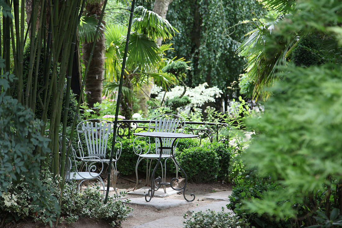 Shady seating area below palm trees in Jardin Agapanthe, Normandy, France