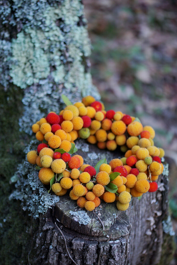 Wreath of yellow and red fruits from the strawberry tree