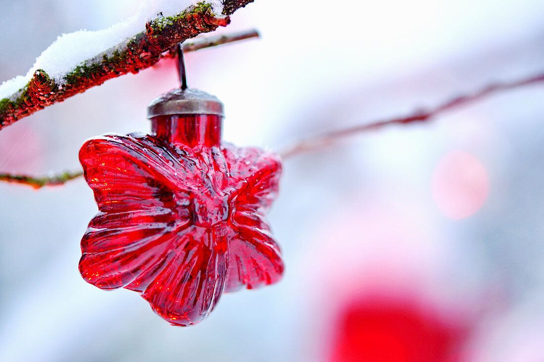 Roter Christbaumanhänger in Sternform am Zweig mit Schnee