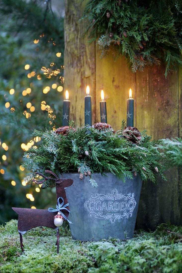 Advent wreath of juniper branches and grey candles in metal bucket