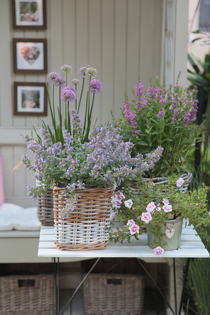 Arrangement mit Katzenminze, Blutweiderich, Zauberglöckchen und Zierlauch in Körben