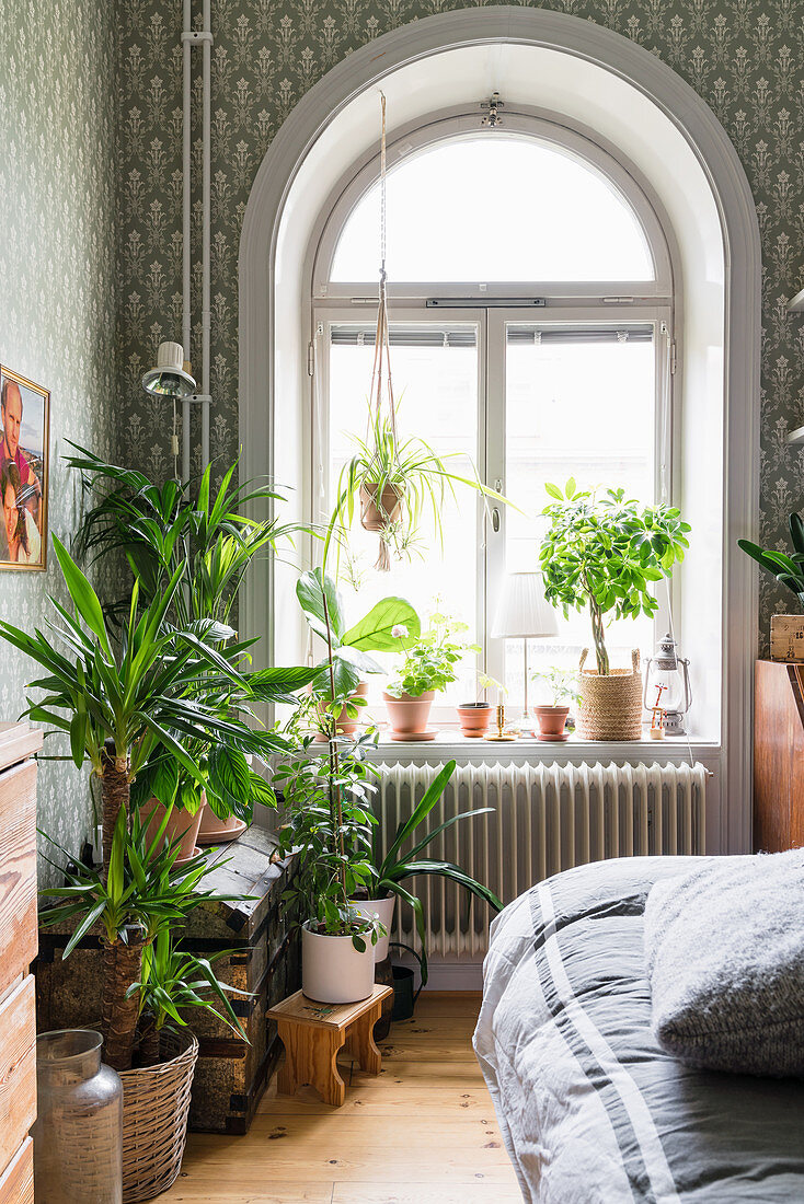 Houseplants in front of arched window in bedroom with patterned wallpaper