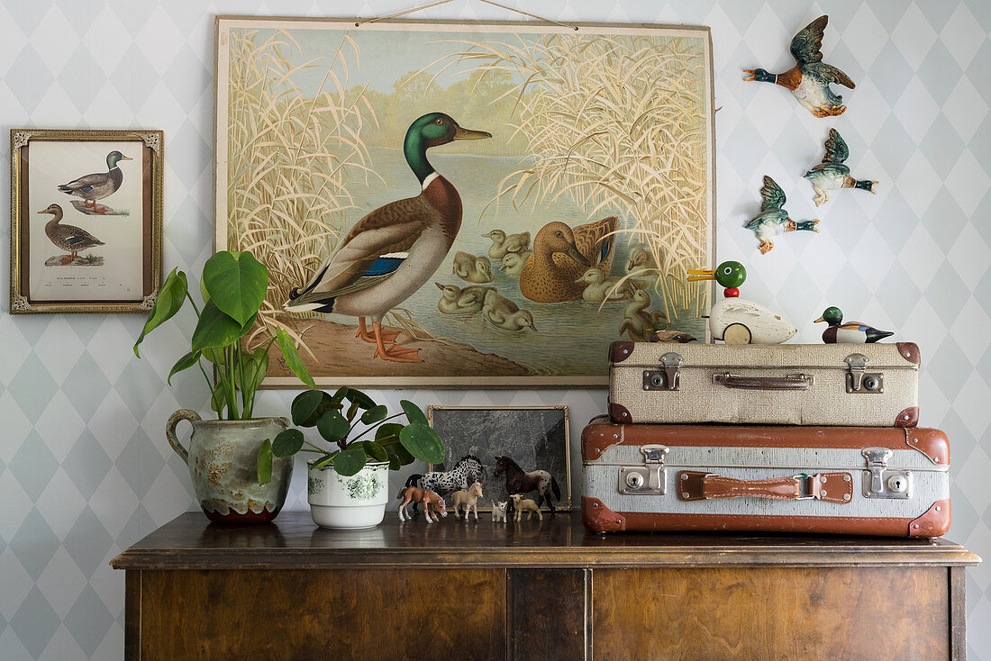 Vintage suitcases on antique cabinet in front of poster with duck motif