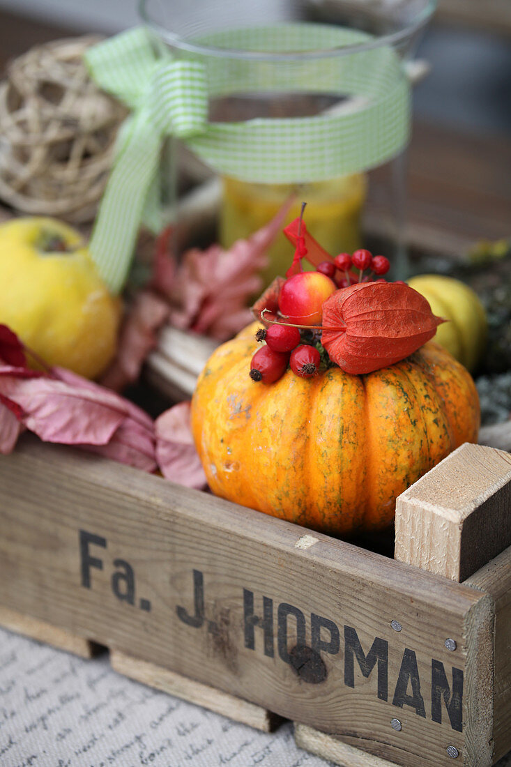 Herbstdekoration mit Kürbis, Hagebutten, Lampionblume und Zierapfel in Holzkiste