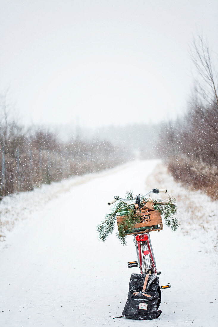 Holzkiste mit Kiefernzweigen auf Fahrrad und Rucksack im Schnee