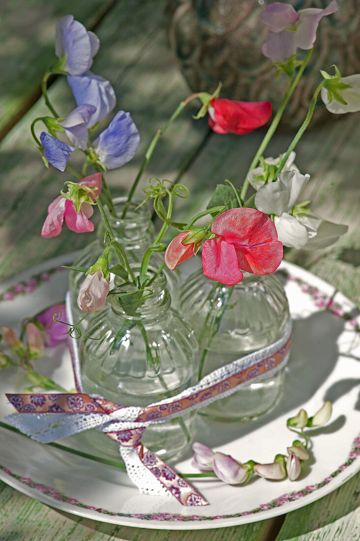 Sweet peas in small glasses