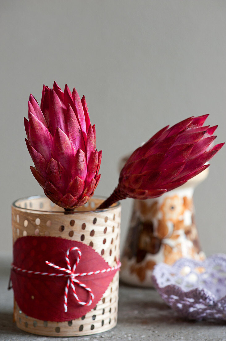 Protea-Blüten in verziertem Glas