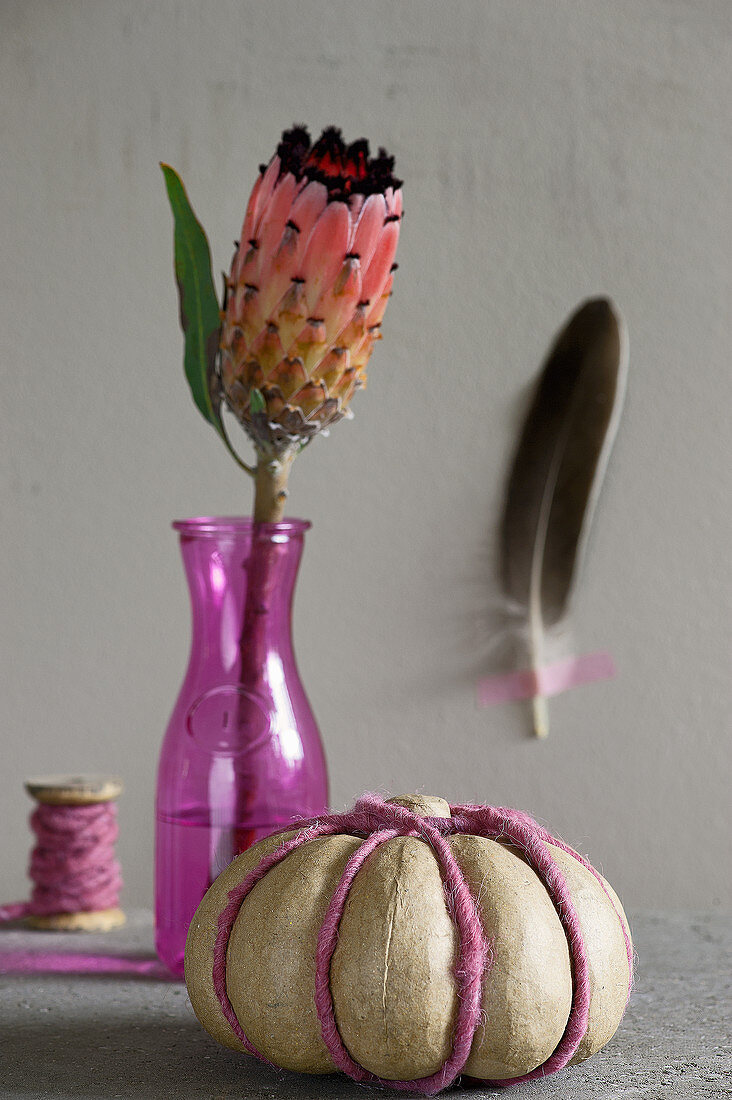 Protea in pink case and fake pumpkin decorated with woollen yarn