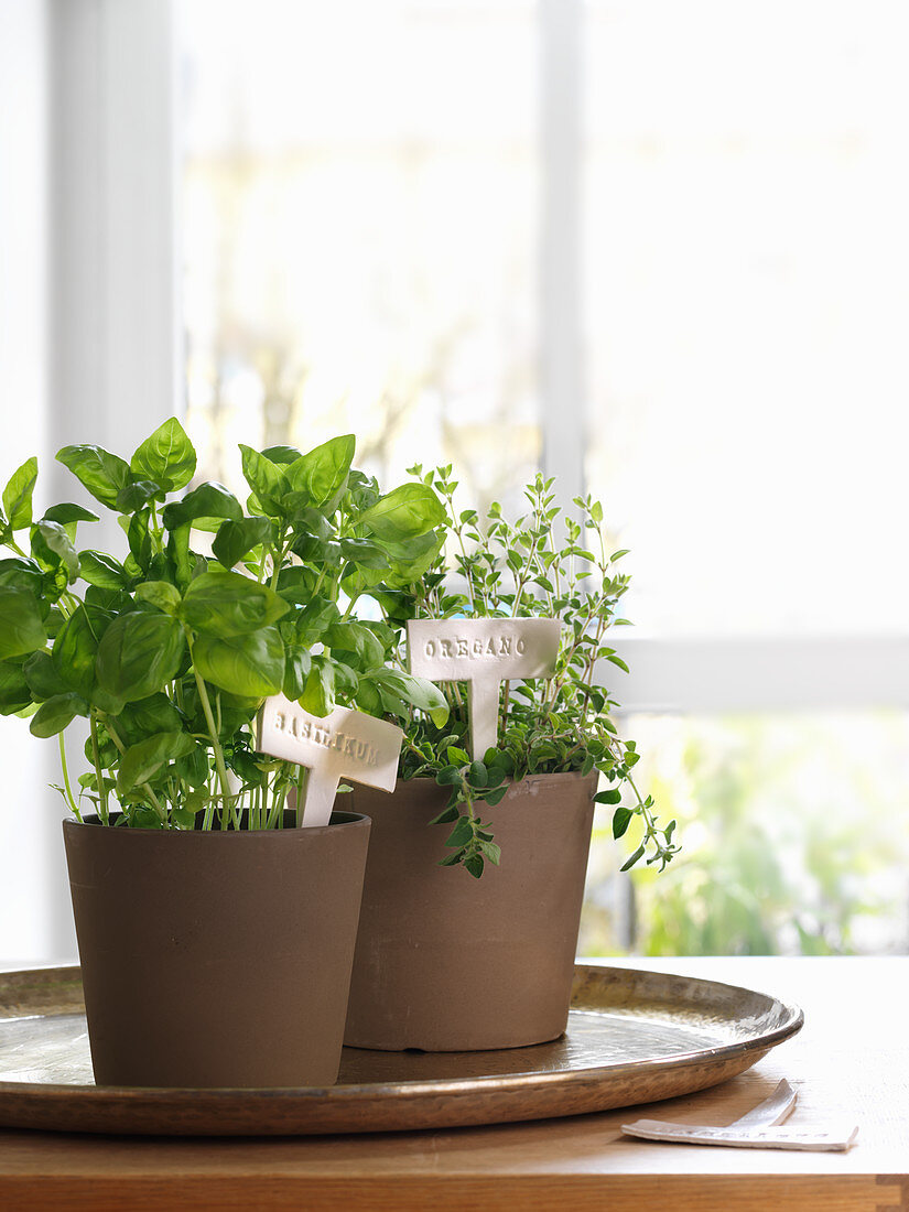 Potted herbs with DIY modelling clay plant labels
