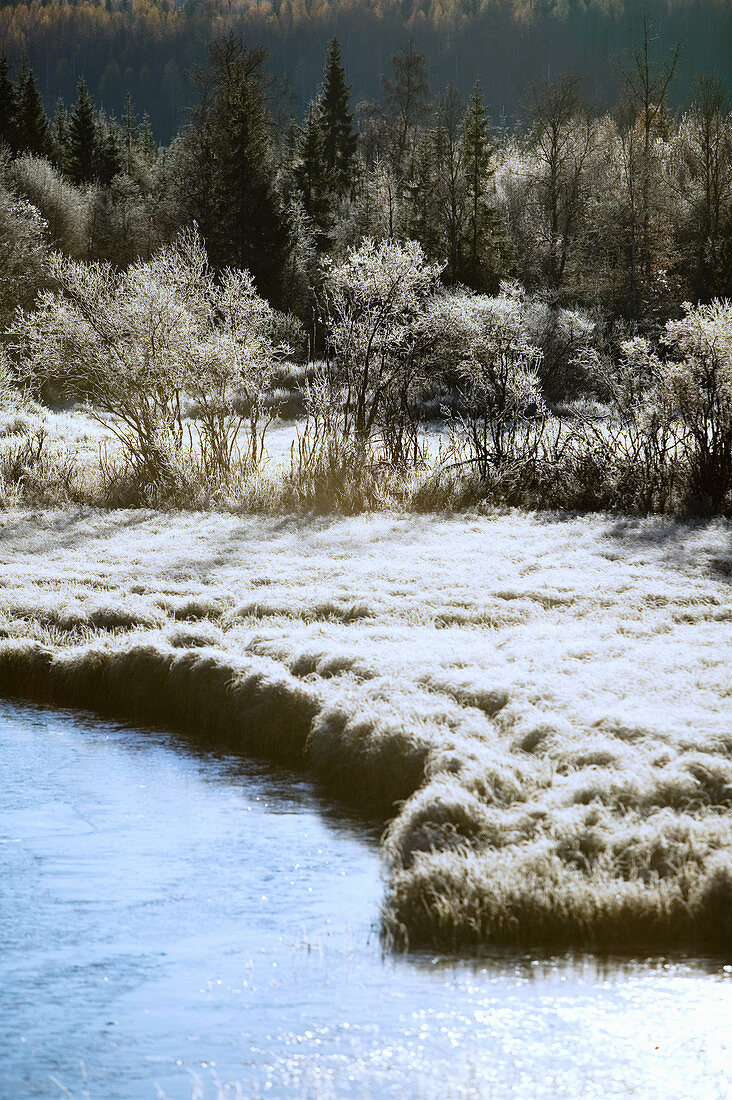 Lake in frosty wintry landscape