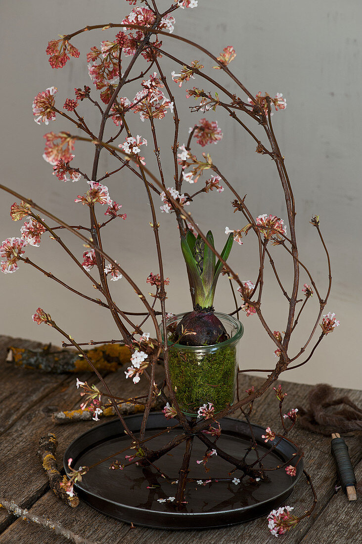 Ikebana aus Winterschneeballzweigen und Hortensie im Glas